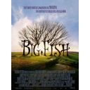 Affiche du film Big Fish (2003)